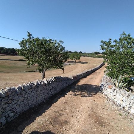 Masseria Catucci Agriturismo Alberobello Exterior foto